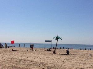 I did not go on the beach but took the long subway ride home for a nap. (c) Stacey Cooper